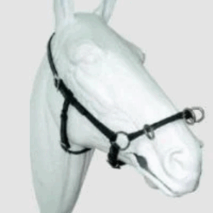 Portugiesisches Cavecon