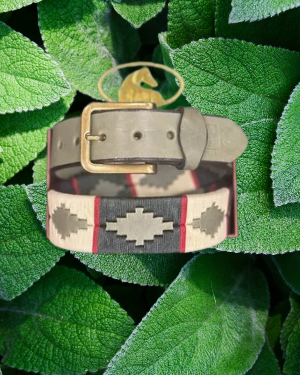 Pologurt petrol