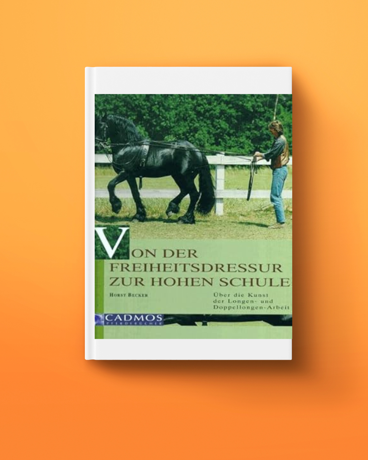 Von der Freiheitsdressur zur Hohen Schule - bei Amazon