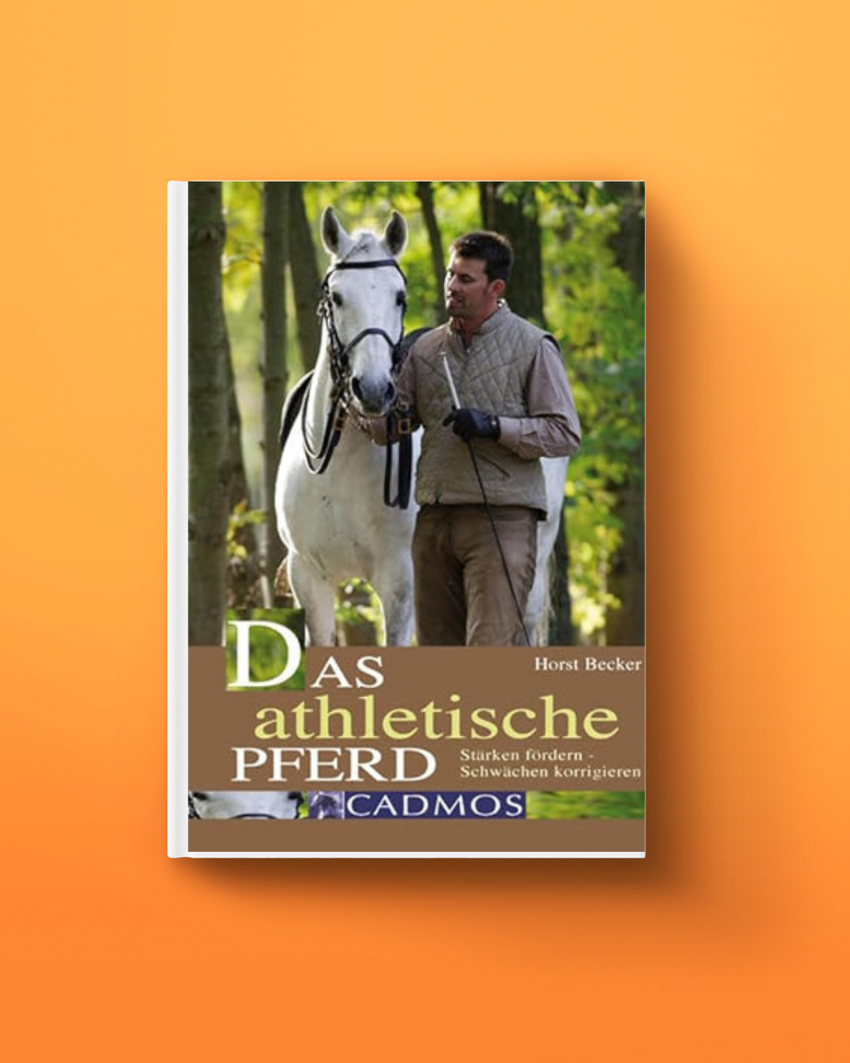 Das athletische Pferd